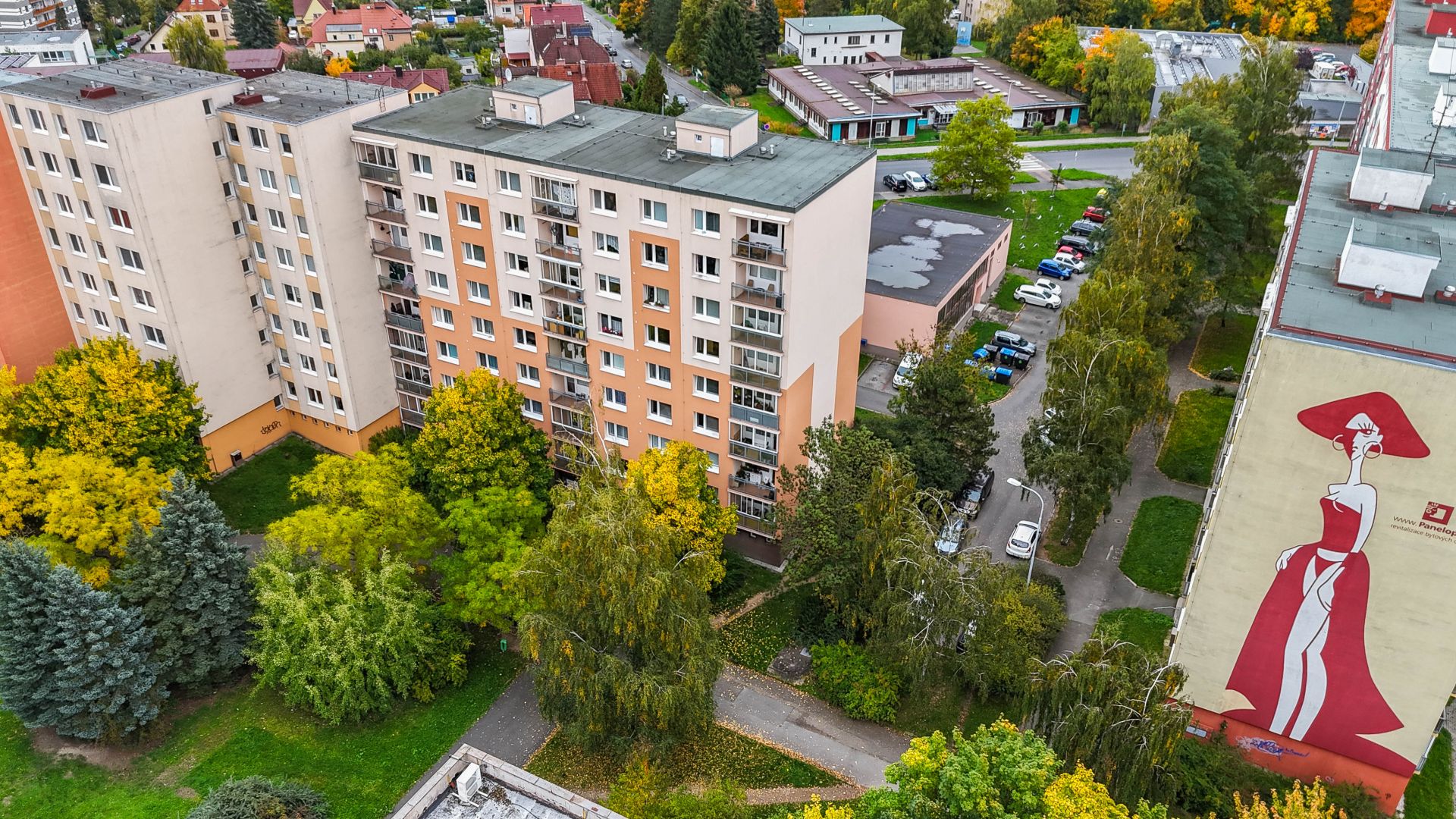 Prodej bytu 1+1 po rekonstrukci v Plzni Bolevci